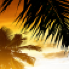cropped-sunset.png
